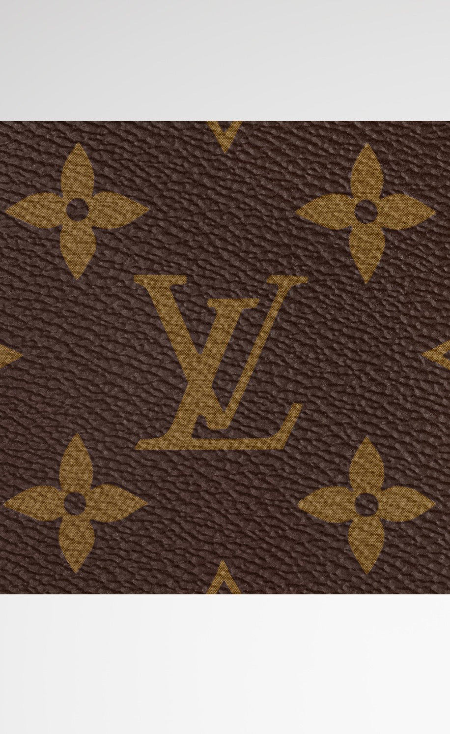 LV MONOGRAM BAG